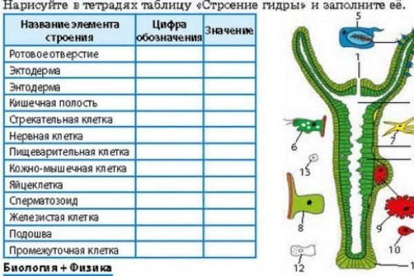 Рабочее зеркало на кракен