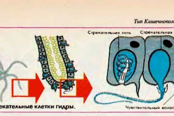 Как восстановить доступ к аккаунту кракен