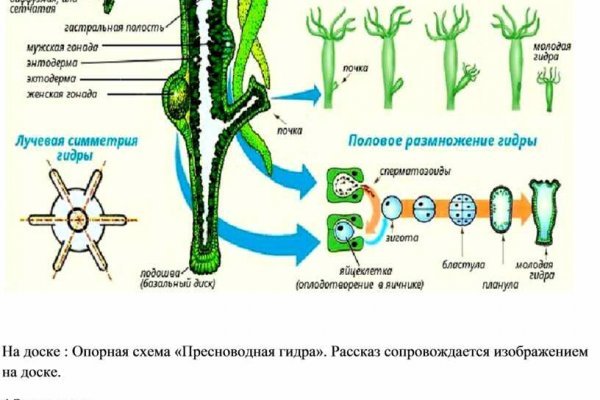 Как зайти на кракен даркнет